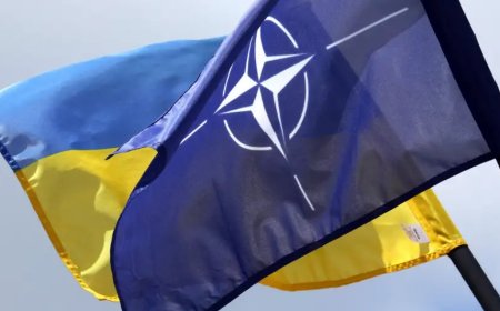 ABD: Ukrayna'nın NATO Üyeliği Gerçekçi Değil