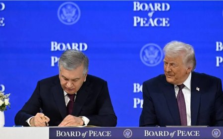 Özbekistan lideri Mirziyoyev Barış Kurulu tüzüğünü imzaladı