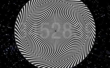 Bu görselde hangi sayıyı görüyorsunuz? Yanıtı algınızı yansıtıyor