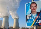 Almanya'da anket krizi: AfD muhafazakâr blokun 5 puan önünde