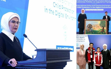Global Call for Digital Safe Zones: Turkey Pushes for Stronger Boundaries to Protect Children Online