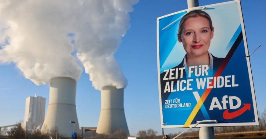 Almanya'da anket krizi: AfD muhafazakâr blokun 5 puan önünde